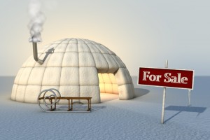 winter-for-sale_500