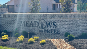 Meadows 300by169